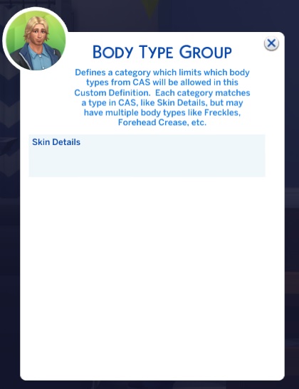 MC Dresser Add Definition Body Type Group with one option 'Skin Details